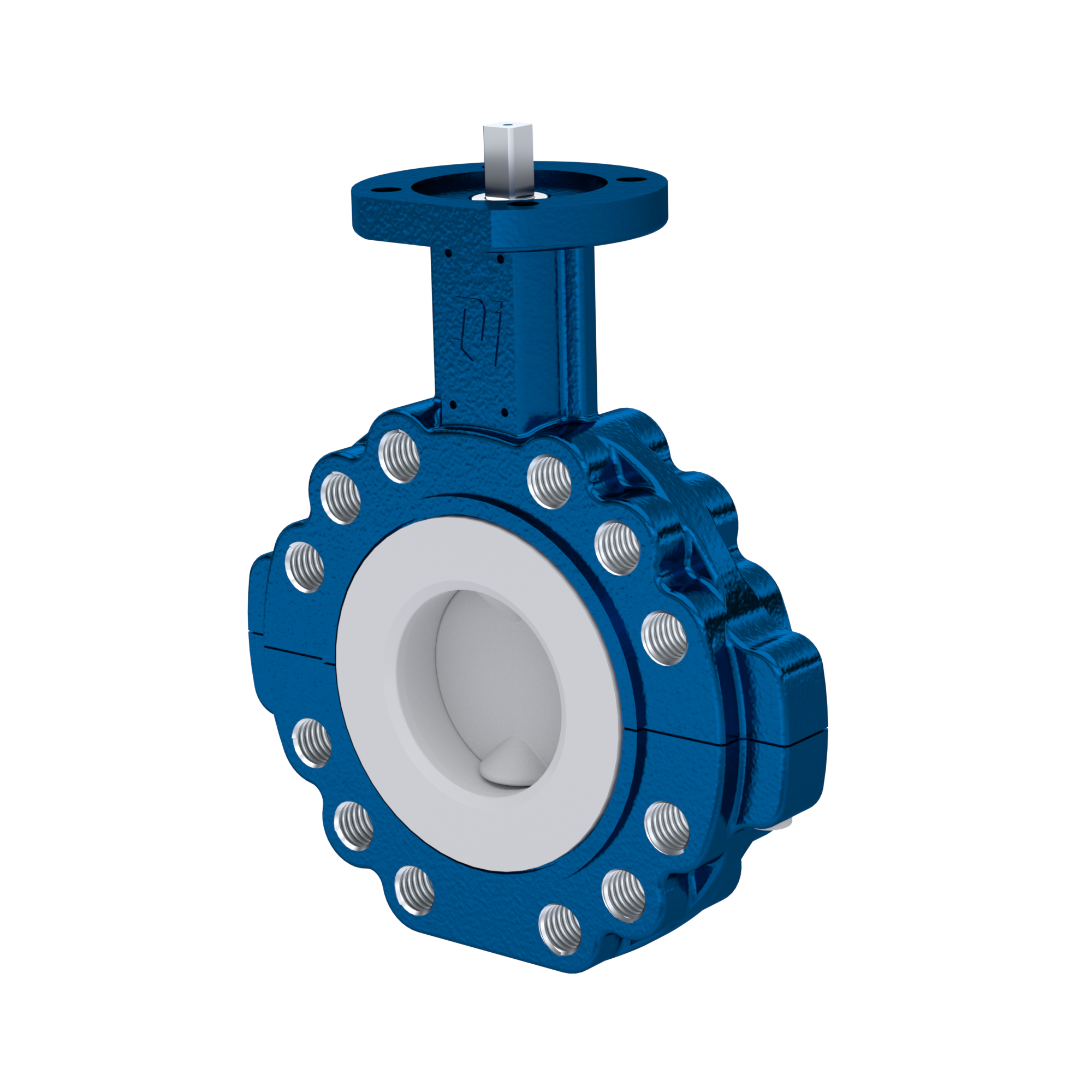 Absperrklappe PTFE AK10 DN65 PN10-PN16 FKM Einlage