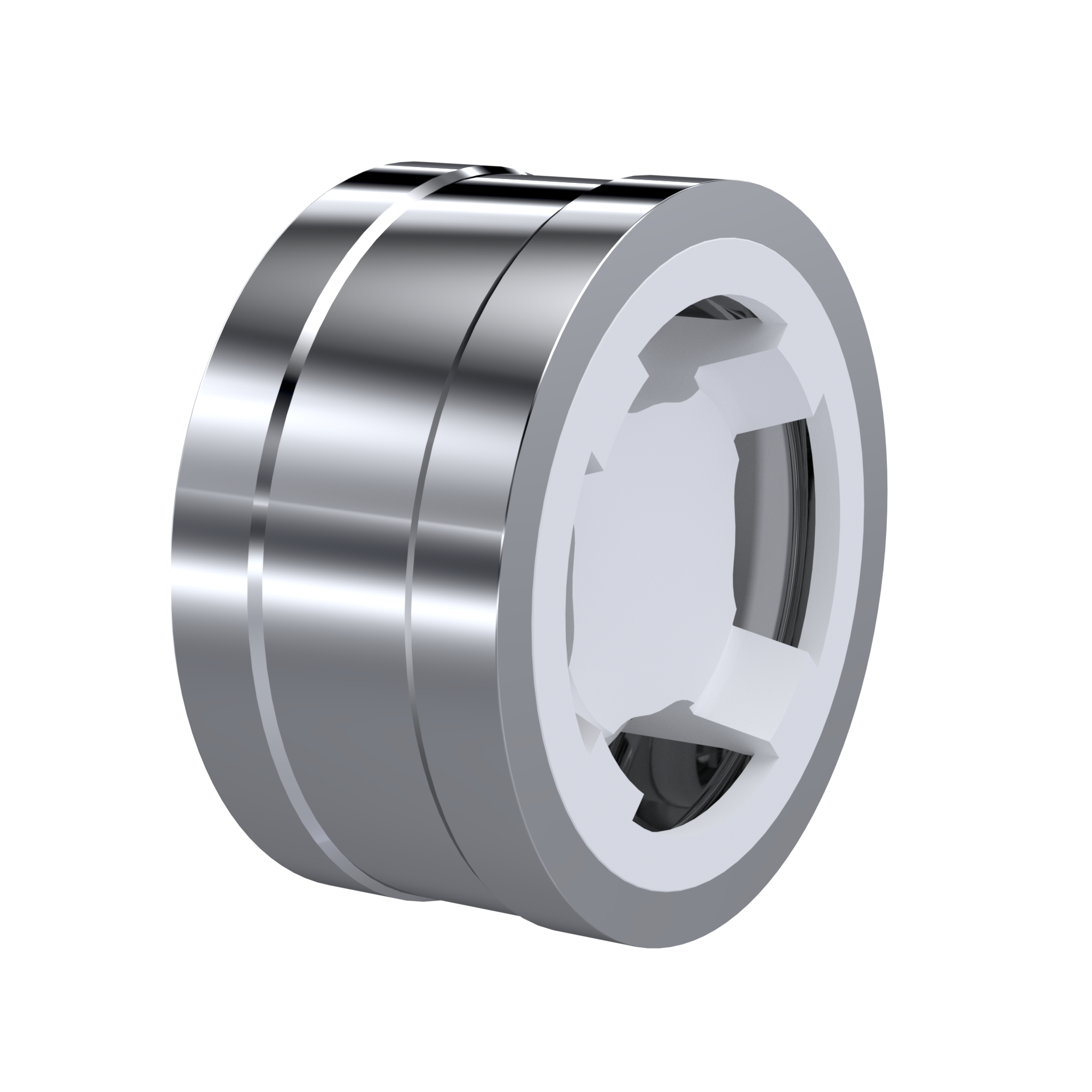 clapet anti-retour PTFE DN80 - 3 pouce RV05