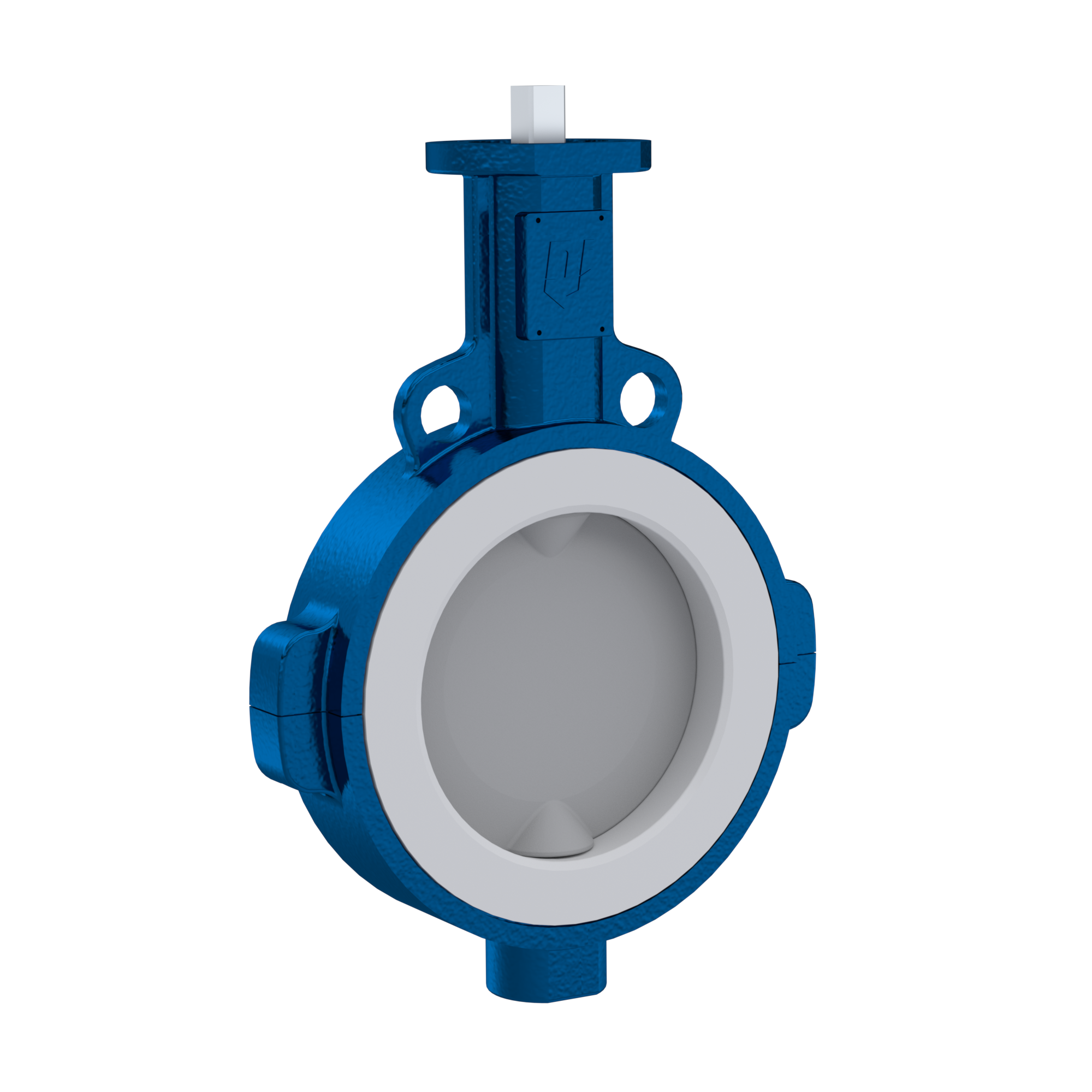 Butterfly-valve PTFE AK09 DN300 ANSI150 FKM insert