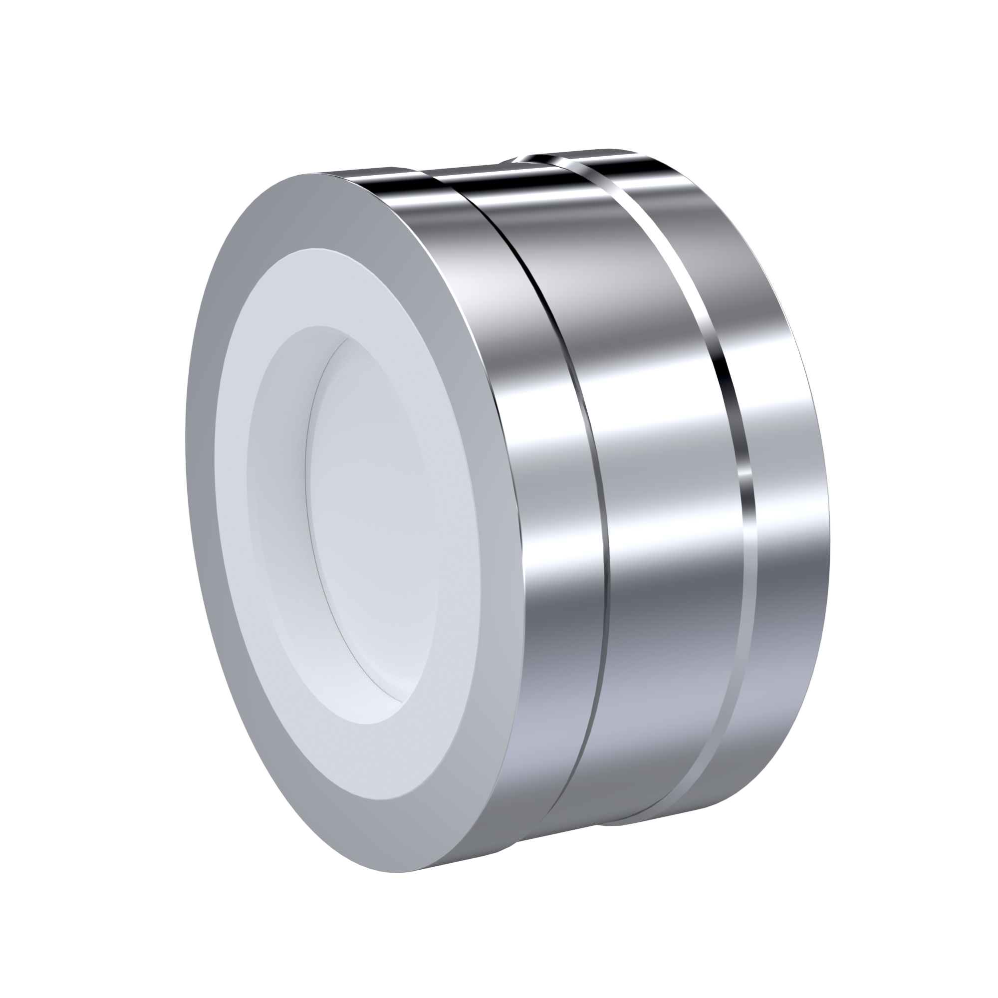 PFA-Rückschlagventil DN20-DN150 PTFE ausgekleidet